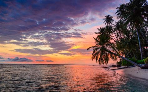 Indonesia Banyak Islands Sumatra Tropical Desert Beach Sunset Sky Sea Palm Trees Photo Landscape ...