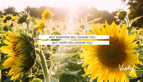 Quotes On Sunflower Wallpapers - Wallpaper Cave