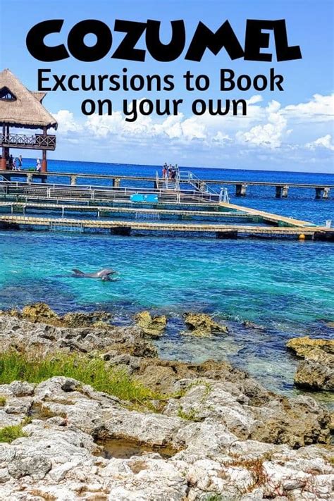 5 Best Cruise Excursions in Cozumel - Day Trip Tips