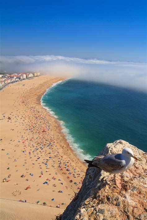 Nazare Beach | Smithsonian Photo Contest | Smithsonian Magazine