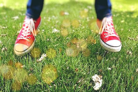 Free Images : grass, lawn, meadow, play, retro, flower, fashion, hipster, sneakers, converse ...