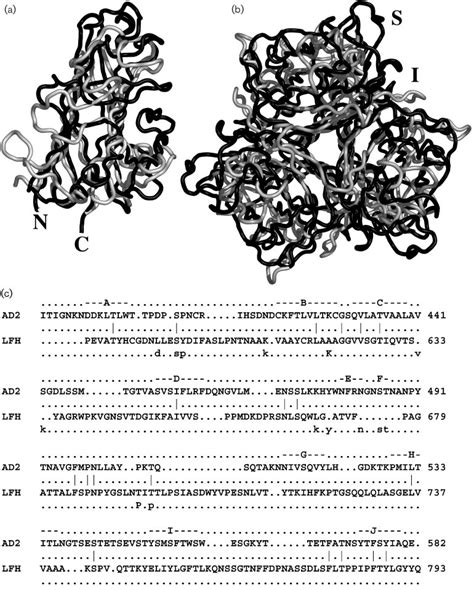 Comparison of the avian adenovirus long fiber head with the human ...