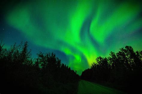 Northern Lights - Fairbanks, AK : pics