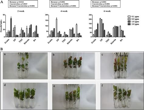 (A)Effects of various cytokinins at different concentrations on... | Download Scientific Diagram