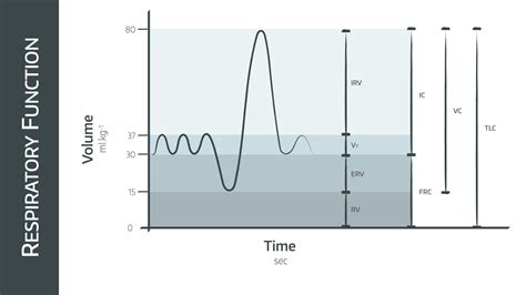 Lung Volumes and Spirometry – Anaestheasier