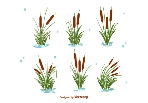 Cattails Set Vector 121073 Vector Art at Vecteezy