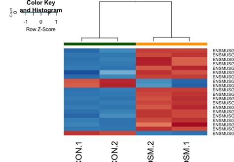 Heatmap for DEGs from DESeq2