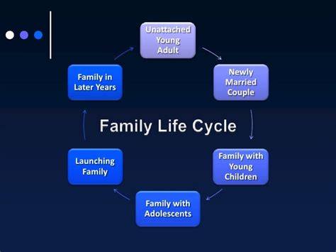 The Family Life Cycle