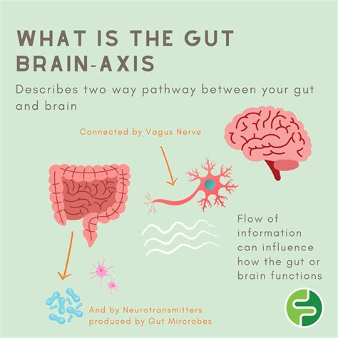 What is a gut brain axis | FODMAP Friendly