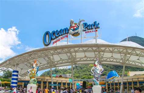 Tips for Visiting Ocean Park Hong Kong with Kids | Asia Travel