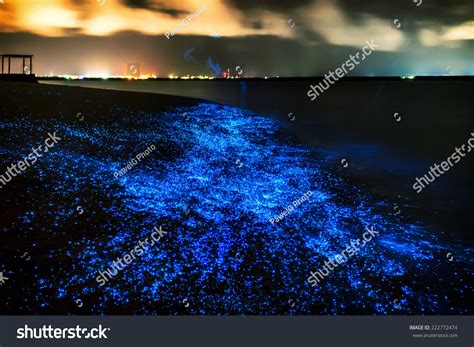 813 Glowing Water Maldives Images, Stock Photos & Vectors | Shutterstock