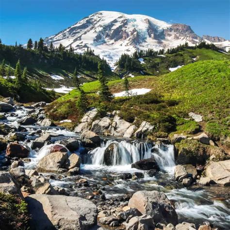 Skyline Trail: Mount Rainier's Best Day Hike - Travel. Experience. Live.