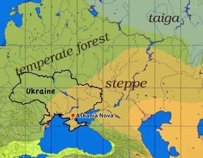 "A transformed Landscape: The Steppes of Ukraine and Russia" | Environment & Society Portal