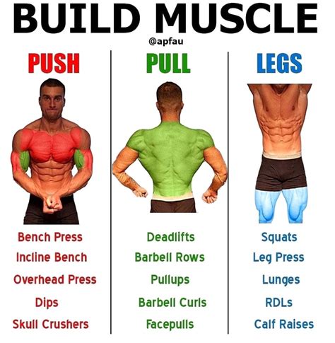 Pin by LC on Workout | Workout, Exercise, Push pull legs