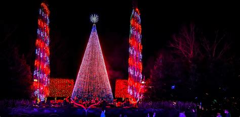 The 15 Best Places to See Christmas Lights in North Carolina (2023-2024)