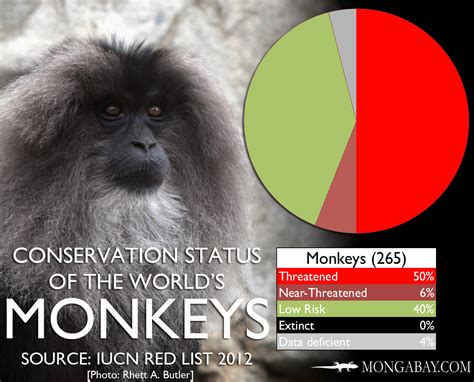 CHART: The world's most endangered monkeys