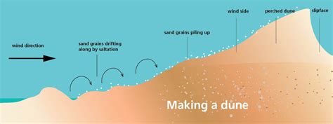 Dunes - Sleeping Bear Dunes National Lakeshore (U.S. National Park Service)