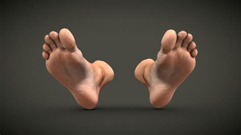 Female Feet - Buy Royalty Free 3D model by Lassi Kaukonen (@thesidekick) [050df1b] - Sketchfab Store