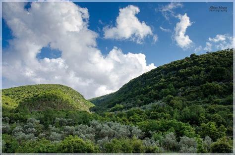 THE BEAUTY OF LEBANON - Page 356 | Lebanon, Natural landmarks, Forest