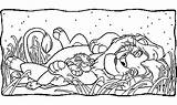 Simple Lion King coloring Page  The Kids Coloring Pages sketch template