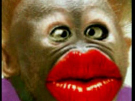 a monkey with red lipstick on it's face and mouth is looking at the camera