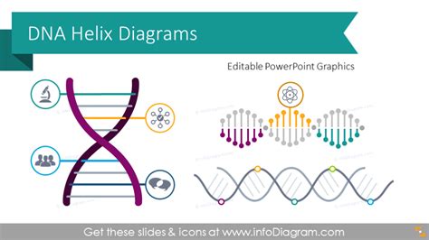 12 Company DNA PPT Diagrams with Creative Helix Infographic Org Culture ...