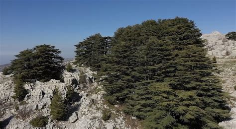 Top Nature Spots in Jbeil - Lebanon Traveler