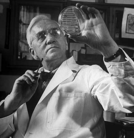 Alexander Fleming | Biography, Education, Discovery, Nobel Prize ...