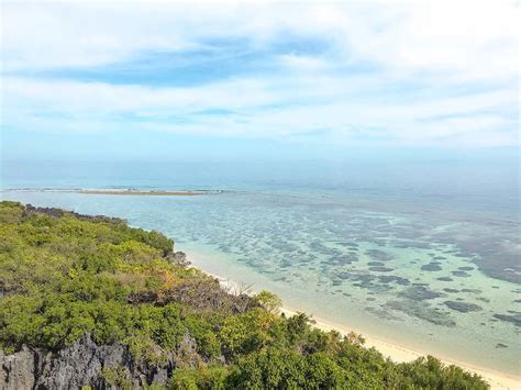 A Guide To Diving Apo Reef, Philippines (Updated February 2020)