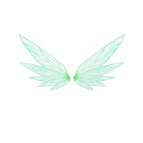 Fairy Wings Png