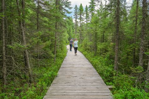 Day Hiking in Algonquin Provincial Park - Algonquin Outfitters