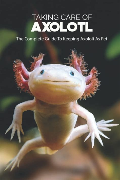 Buy Taking Care Of Axolotl: The Complete Guide To Keeping Axololt As Pet: Axolotl Caring Guide ...