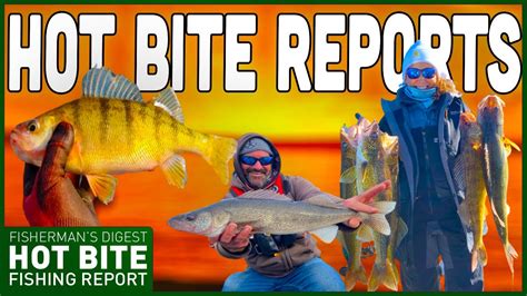 Detroit River Fishing Reports, Perch Reports, & More!!! - POBSE