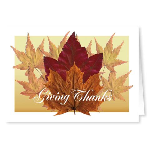 Stonehouse Collection: Giving Thanks - Thanksgiving Card