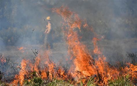 At least one dead as massive Texas panhandle wildfire grows. What we know