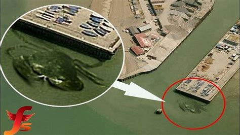 Top 5 Creepy Things Found In Google Maps | Mystery, Crab, Creepy photos