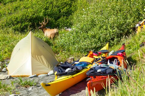 Wild camping – your ultimate guide to planning a trip - Lonely Planet