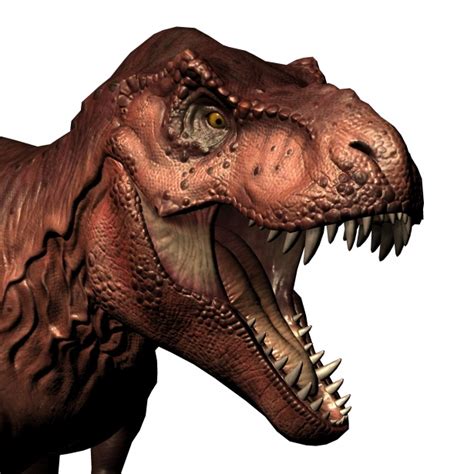 Red T-rex Bust Free Stock Photo - Public Domain Pictures