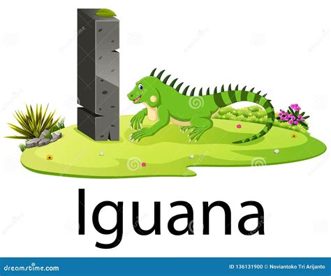 Cute Zoo Animal Alphabet I for Iguana with Real Animal Stock Vector - Illustration of education ...