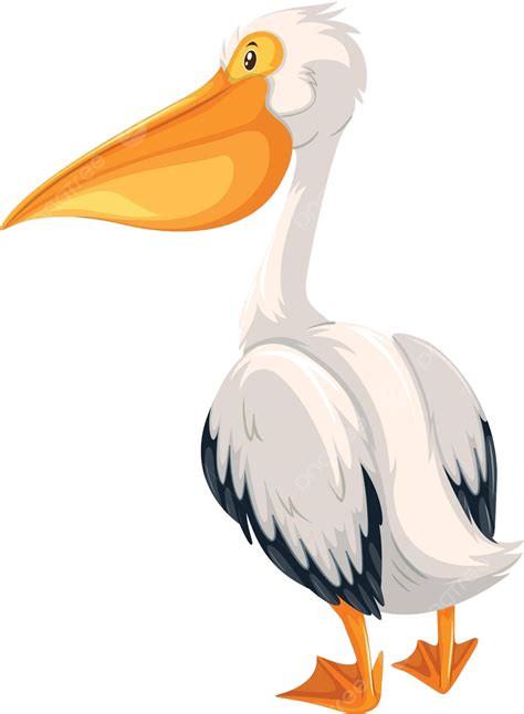 A Pelican On White Background Clip Art Back Nature Vector, Clip Art, Back, Nature PNG and Vector ...