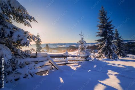 Snowy winter scene in the sunrise Stock Photo | Adobe Stock