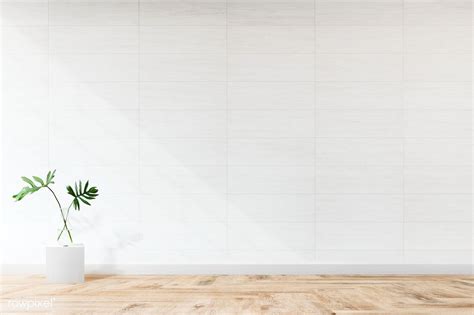 Plant against a white wall mockup | free image by rawpixel.com | Frames on wall, Living room ...