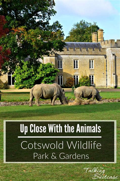 Getting Up Close With the Animals at Cotswold Wildlife Park and Gardens