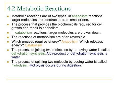 PPT - Anatomy and Physiology Chapter #4 PowerPoint Presentation - ID:419815