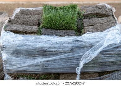 8,034 Sod Turf Grass Images, Stock Photos & Vectors | Shutterstock