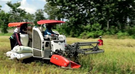 Mengenal 3 Teknologi Mesin Pertanian yang Bisa Permudah Kerja Petani - KlikPositif.com - Media ...