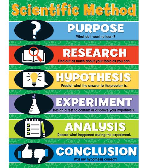 Scientific Method - 7th Grade Diagram | Quizlet