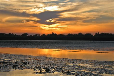 PETER'S PORTFOLIO..............Bird & Wildlife Photography: Danube ...