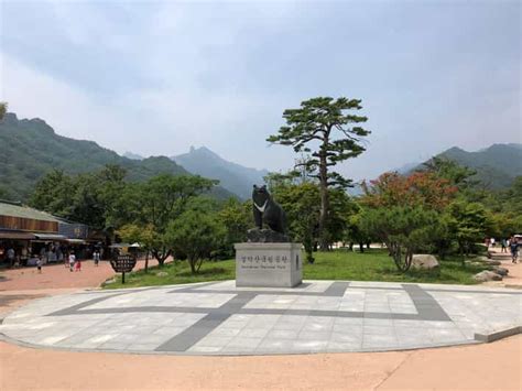 Seoul: Mt Seorak(Cable Car)+Sokcho Beach&Market+Observatory | GetYourGuide