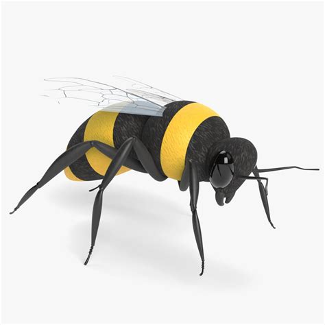 Bumblebee 3D model - TurboSquid 2059469